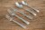 Cambridge Silversmiths Brinn Flatware Set - Mirror Perspective: left