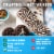 Zbar Bake Sale Collection Cookies 'N Crème Organic Soft-Baked Energy Snack Granola Bars Perspective: left