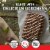 Clif Bar Cool Mint Chocolate With Caffeine Energy Bar Perspective: left