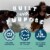 CLIF BUILDERS Chocolate Mint Protein Bars Perspective: left