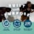 CLIF® Builders® Minis Chocolate Mint Protein Bars Perspective: left