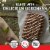 CLIF BAR® Cool Mint Chocolate Energy Bars Perspective: left
