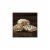 Kellogg's Frosted Mini-Wheats Breakfast Cereal, Original - 24 Oz (Pack of 32) Perspective: left