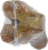 Best Buy Bones Smoked Pork Bone Perspective: left