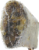 Natures Own Jumbo Rib Bone Perspective: left
