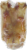 Best Buy Bones Lamb Trotter Bone Perspective: left