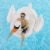 4-Pack Swimline Giant Inflatable Ride-On 75-Inch Swan Floats | 4 x 90621 Perspective: left