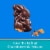 Ghirardelli® Dark Chocolate Sea Salt Caramel Bunnies Easter Candy Bag Perspective: left