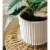 Curtis Wagner Plastics Vinyl Plant Saucer - Clear Perspective: left