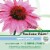 Enzymatic Therapy Esberitox Echinacea Chewable Tablets Perspective: left