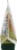 Yucatan Mild Authentic Recipe Squeeze Guacamole Perspective: left