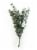 Continental Floral Greens 4 Stem Eucalytus Perspective: left