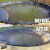 EDOU BLACK DIRECT Pool Cover Pump | HEAVY DUTY | 850 GPH | 75 W | 16' Hose & Adapters Perspective: left