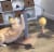 SmartyKat Scratch 'N Spin Carpet Scratching Post with Spinning Wand Toys Perspective: left