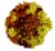 Jumbo Poms Assorted Bouquet Perspective: left