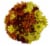 Jumbo Poms Assorted Bouquet Perspective: left