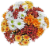 Fresh Picked Poms Fresh Cut Flower Bouquet Perspective: left