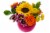 Festival of Flowers Fresh Arrangement in Vase Perspective: left