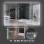ExBrite 60  W x 36  H Led Bathroom Mirror Illuminated LED Wall Mirror Perspective: left