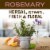 Mrs. Meyer's Clean Day Rosemary Scent Liquid Dish Soap Perspective: left