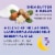 Dr Teal's® Sleep Scrub Shea Sugar Scrub With Melatonin Perspective: left