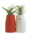 Kiss Me Potted Plant Set Perspective: left