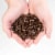 Sumatra Mandheling Indonesian Fresh Dark Roast Coffee | Medium Grind (Drip) - 2 lb Perspective: left