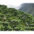 Colombian Supremo 100% Arabica XL Beans Fresh Light Roast Kosher Coffee | Medium Grind - 5 lb Perspective: left