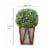Teamson Home Rounded Artificial Topiary Shrub Pre-Lit Solar Powered LED Lights Perspective: left