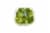 Fresh Kitchen Brussels Sprouts Perspective: left