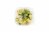 Squash w/ Onion and Dill Seasoning Perspective: left