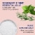 Dr Teal's Wellness Therapy Pure Epsom Salt Soaking Solution Perspective: left