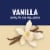Core Power Elite Vanilla High Protein No Sugar Added Ready To Drink Muscle Recovery Milk Shakes Perspective: left