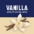 Core Power Vanilla Protein Shake Perspective: left