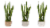 Monteverde Foliage House Plant Perspective: left