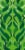 Pukka Organic Three Mint Herbal Tea Sachets Perspective: left