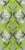 Pukka Lean Matcha Green Tea Sachets Perspective: left