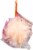 B&B Mesh Facial Sponge Perspective: left