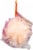 B&B Mesh Facial Sponge Perspective: left