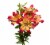 Tango-LA´s Lily Box Perspective: left