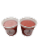 Lindy's Homemade Strawberry Lemon And Raspberry Lemon Combo Italian Ice 6 Count Perspective: left