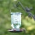 More Birds Mason Jar Hummingbird Feeder - Light Green Perspective: left
