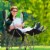 GigaTent Green Footrest Camping Chair Perspective: left