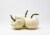 Pumpkin Patch Pals Casper White Ornamental Pumpkin Perspective: left