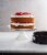 BALLARINI La Patisserie by HENCKELS Nonstick 10-inch Springform Pan Perspective: left