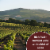 Lisboa Bonita Red Blend Wine Perspective: left