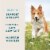 VetIQ Hip & Joint Supplement for Dogs, Chicken Flavored Soft Chews, 7.4 oz Perspective: left