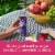 Suja Organic Gut Health Elderberry Ginger Cold Pressed Juice Drink Perspective: left