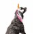 Midlee Dog Unicorn Horn Headband Halloween Costume Perspective: left