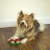 Midlee 1.5 Mini Squeaker Christmas Dog Tennis Balls - Red/Green Pack of 12 Perspective: left